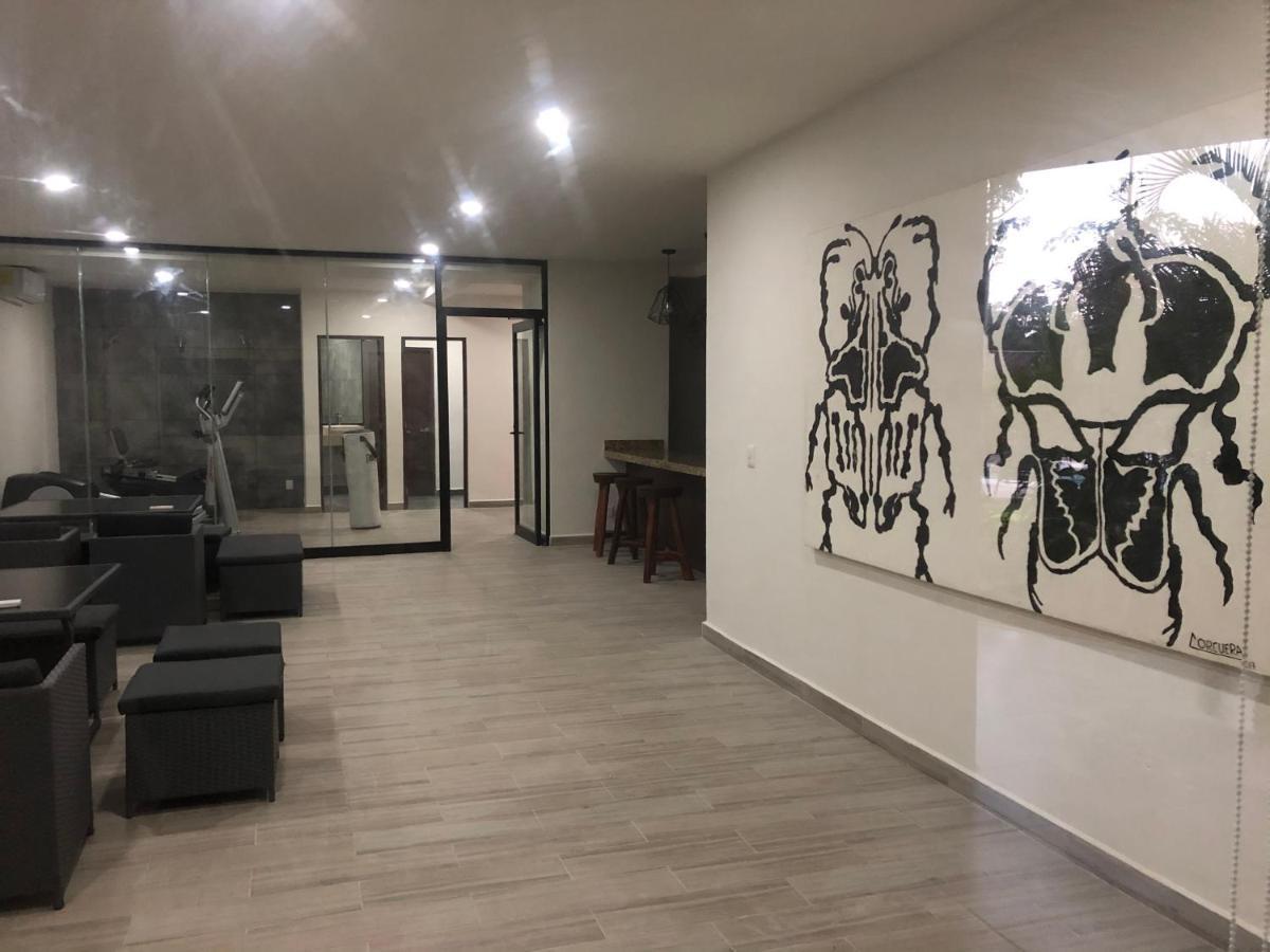 Buda Elementus 图卢姆 外观 照片