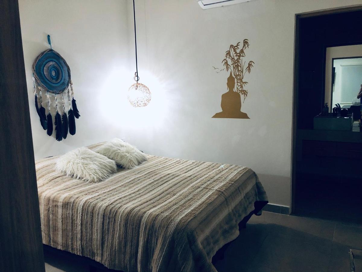 Buda Elementus 图卢姆 外观 照片